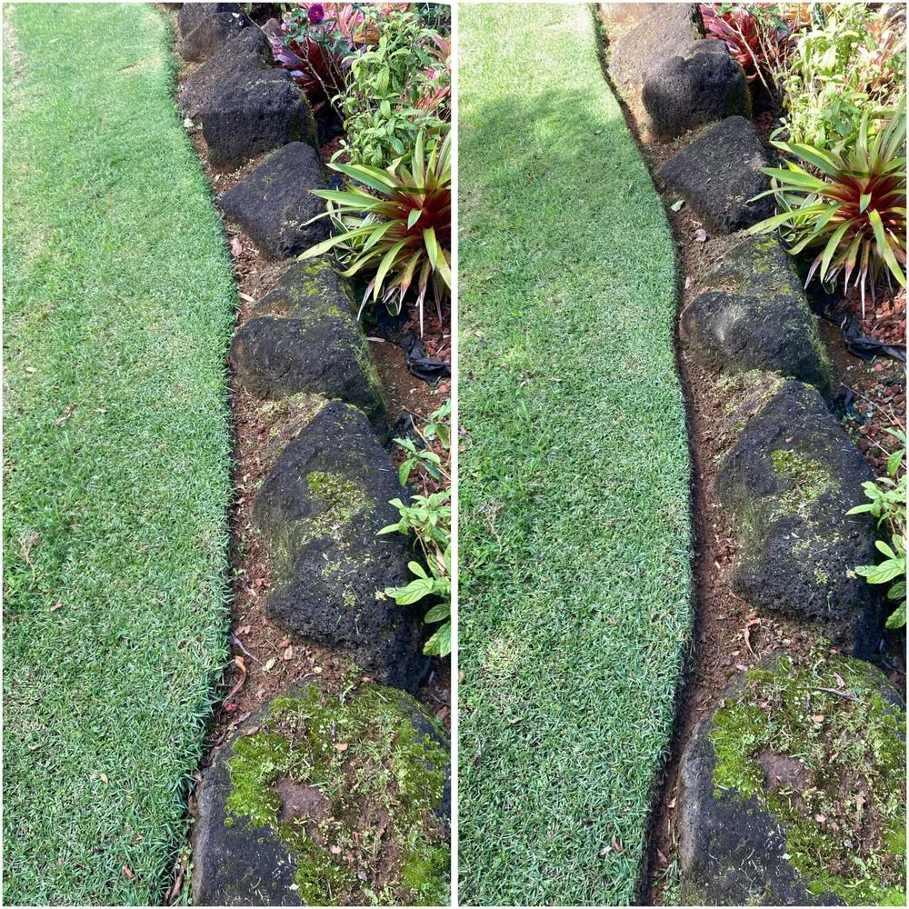Expert landscape design experts serving Kapaʻa, HI - MTF yard service and maintenance