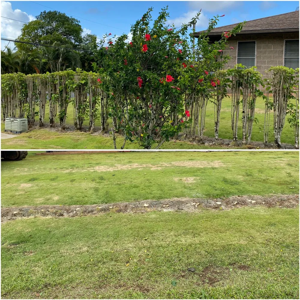 Top-rated residential landscaping for homes in Kapaʻa, HI by MTF yard service and maintenance