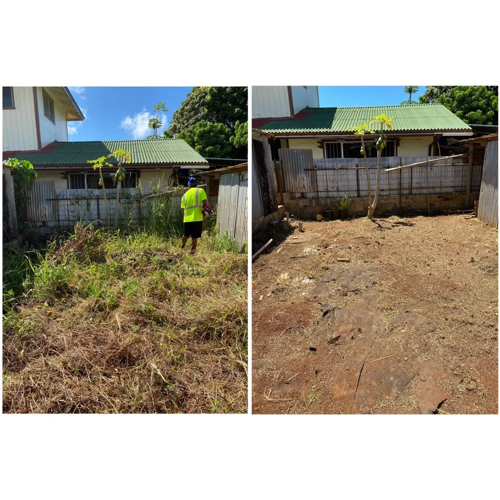 Custom yard cleanup service for beautiful yards across Kapaʻa, HI - MTF yard service and maintenance