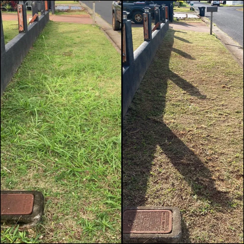 Local outdoor landscaping for residential properties across Kapaʻa, HI - MTF yard service and maintenance