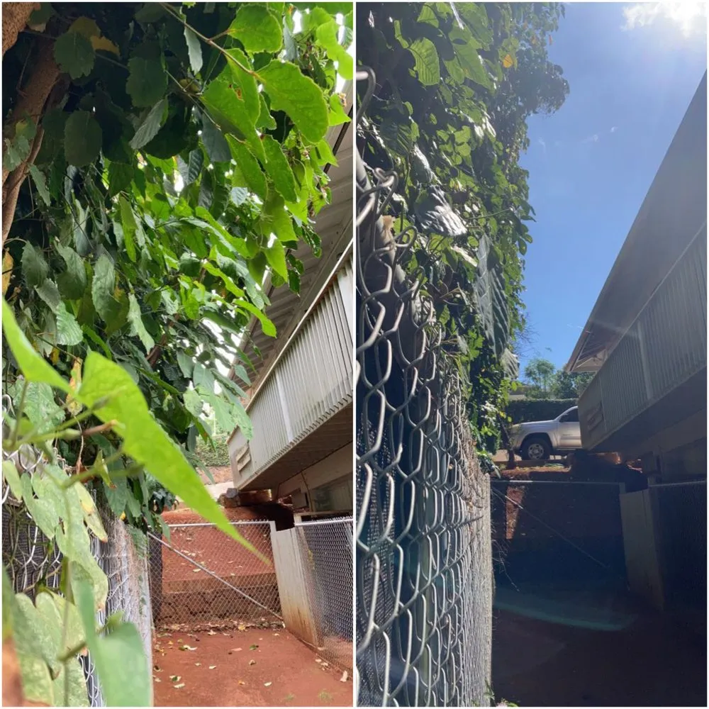 Trusted landscape design for beautiful yards across Kapaʻa, HI - MTF yard service and maintenance