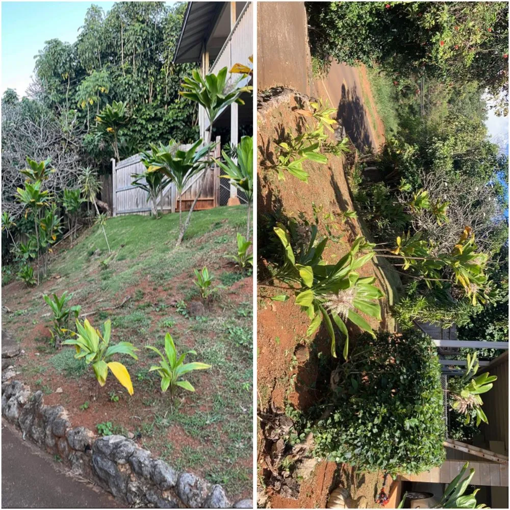 Affordable yard maintenance for beautiful yards across Kapaʻa, HI - MTF yard service and maintenance