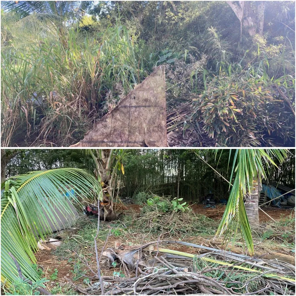 Affordable landscape design with custom design across Kapaʻa, HI - MTF yard service and maintenance