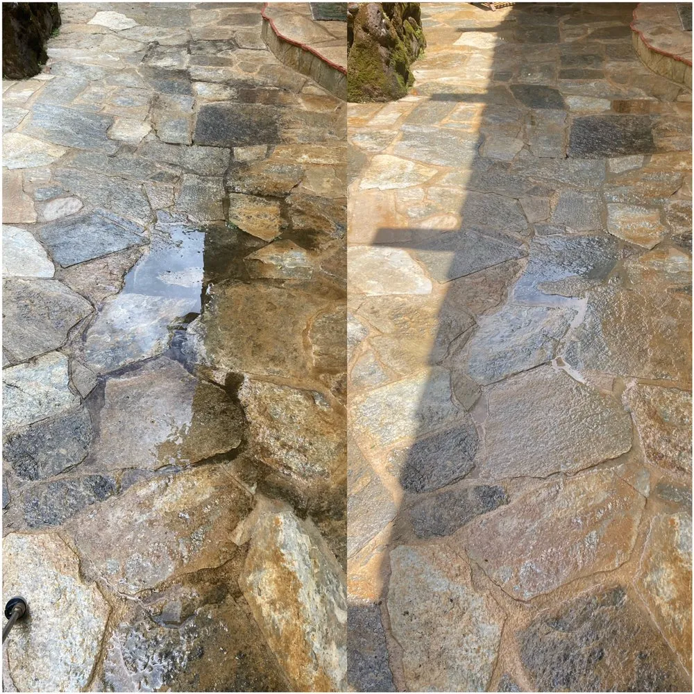 Expert landscaping services with custom design across Kapaʻa, HI - MTF yard service and maintenance