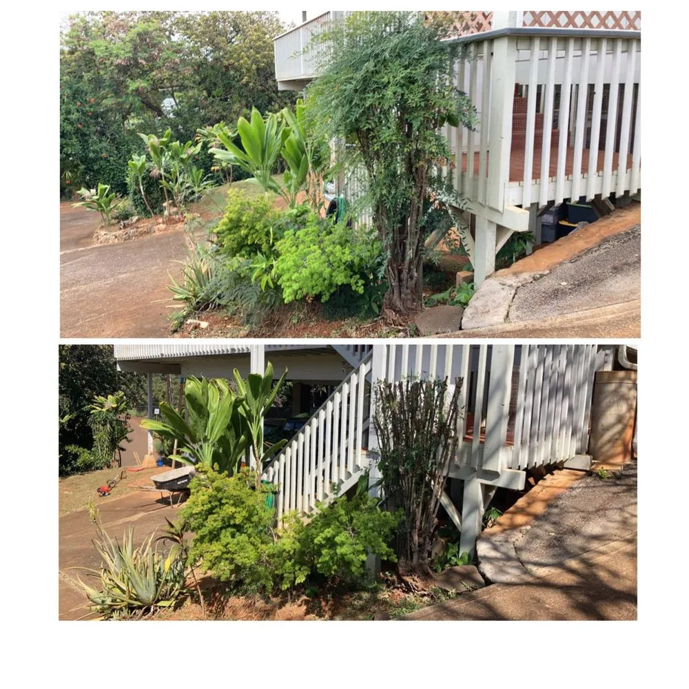 Affordable landscape installation in Kapaʻa, HI by MTF yard service and maintenance
