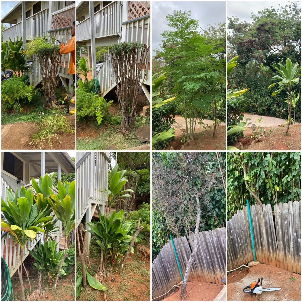 Local lawn care service experts serving Kapaʻa, HI - MTF yard service and maintenance