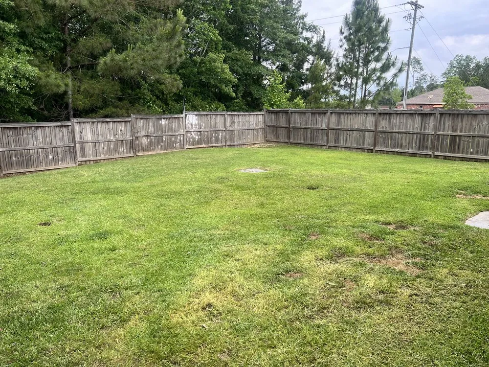 Expert lawn mowing service in Hattiesburg, MS - MTG Lawn Services