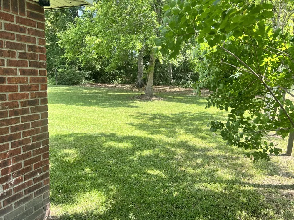 Custom yard maintenance experts serving Hattiesburg, MS - MTG Lawn Services