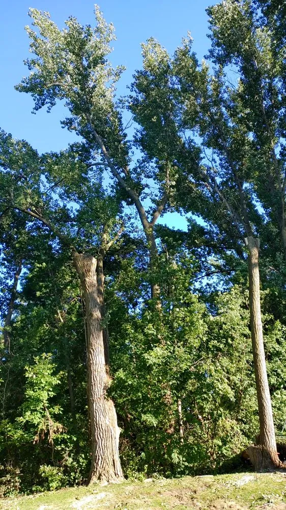 Reliable garden landscaping for homes in Stacy, MN by MTM Contracting