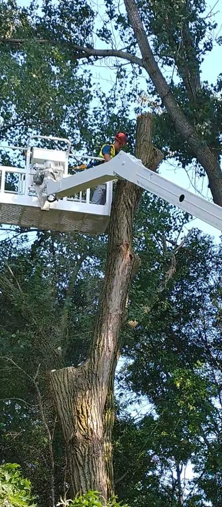 Professional outdoor landscaping in Stacy, MN - MTM Contracting