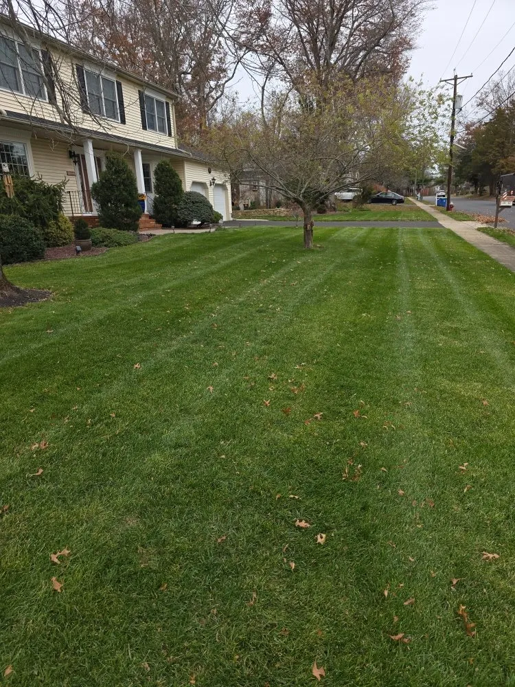 Trusted outdoor landscaping for outdoor upgrades across Monroe Township, NJ - MTM Property Maintenance
