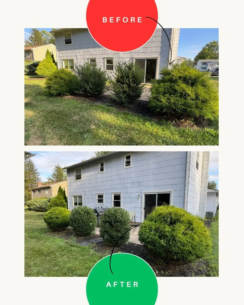 Local residential landscaping experts serving Monroe Township, NJ - MTM Property Maintenance