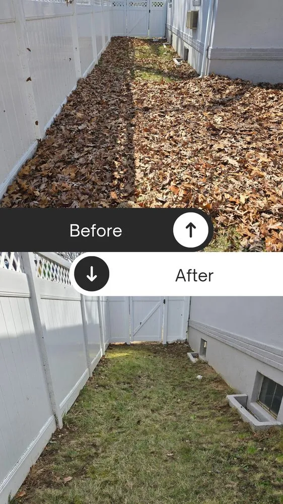 Reliable lawn care service in Monroe Township, NJ by MTM Property Maintenance