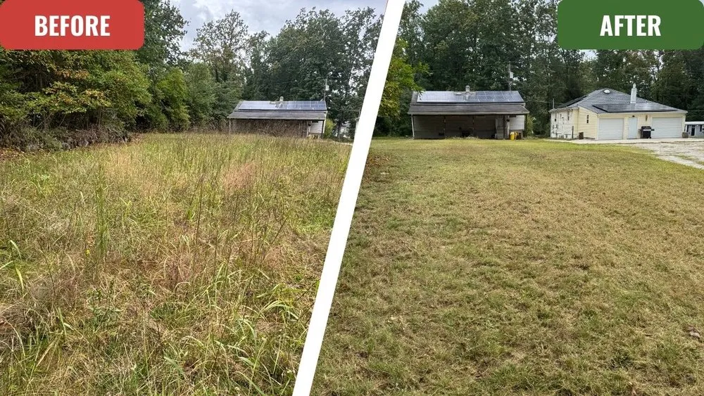 Professional yard cleanup service in Monroe Township, NJ - MTM Property Maintenance