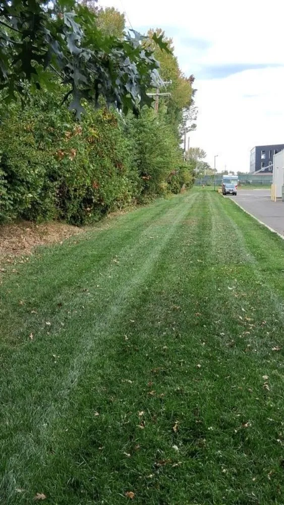 Professional yard maintenance in Monroe Township, NJ by MTM Property Maintenance