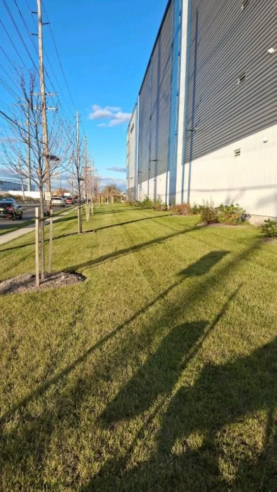 Top-rated landscape design for beautiful yards in Monroe Township, NJ by MTM Property Maintenance