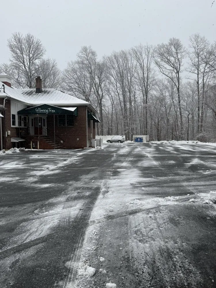 Top-rated lawn care service experts serving Monroe Township, NJ - MTM Property Maintenance