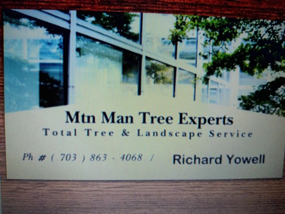 Top-rated yard cleanup service for homes across Fairfax, VA - Mtn Man Tree Experts