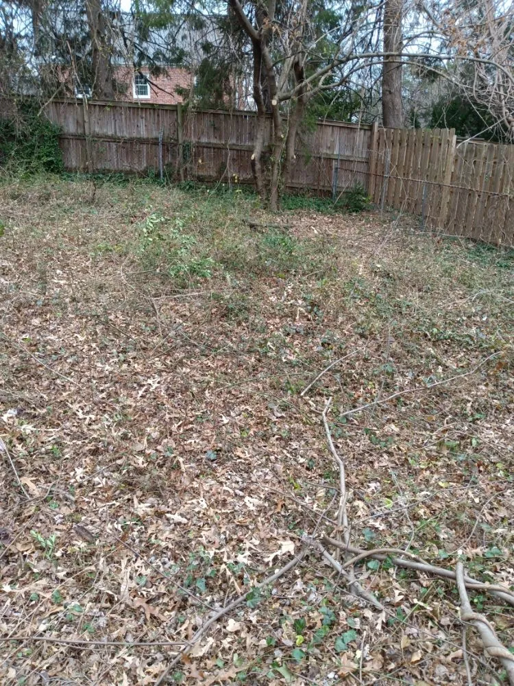 Professional landscape installation experts serving Fairfax, VA - Mtn Man Tree Experts