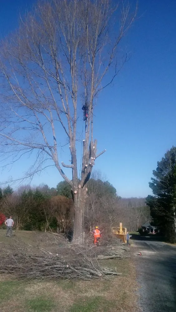 Professional lawn mowing service for beautiful yards in Fairfax, VA by Mtn Man Tree Experts