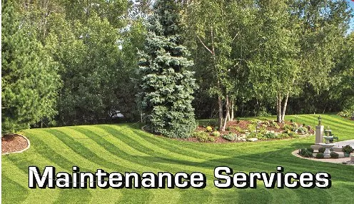Trusted yard maintenance for beautiful yards across Hackensack, NJ - MTS Landscaping & Design