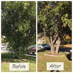 Top-rated outdoor landscaping for outdoor upgrades across Orem, UT - M&T's Lawn and Yard