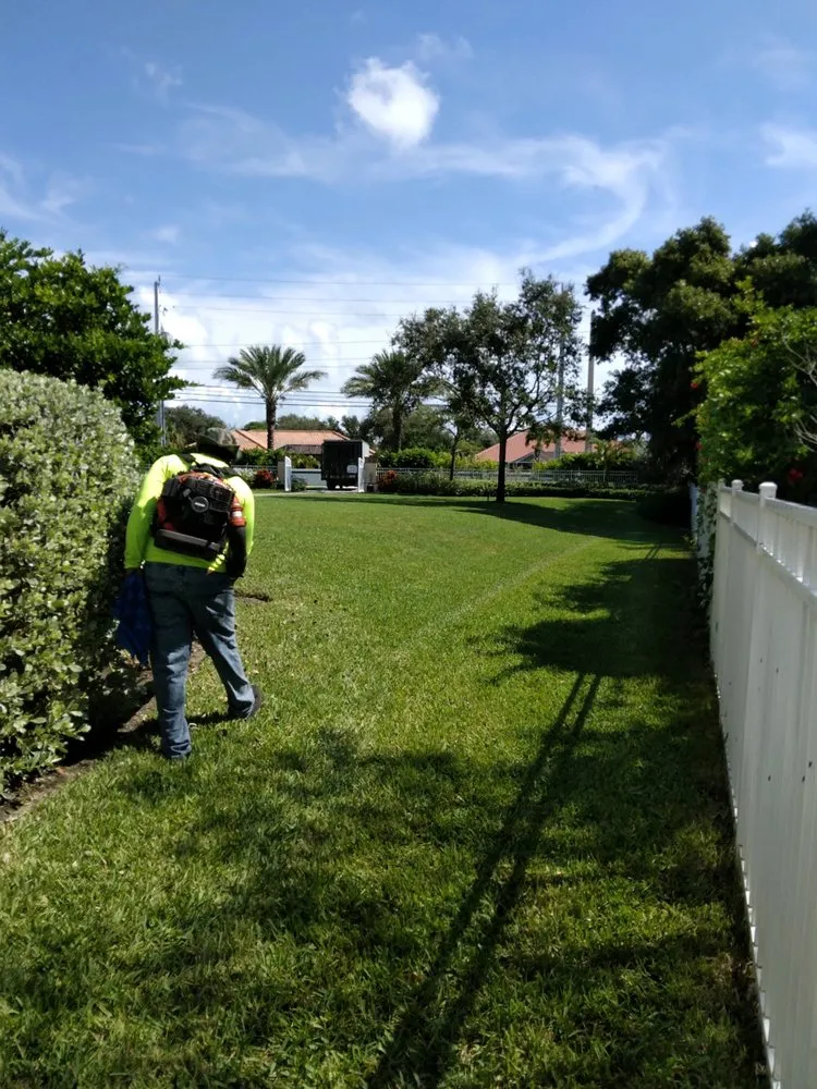Professional yard cleanup service for residential properties across Melbourne, FL - MTS Mowing and Tree Service