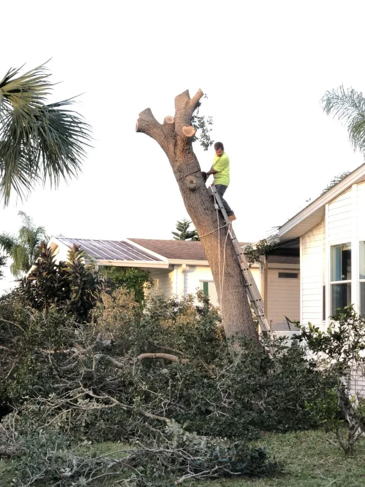 Affordable landscape design with custom design in Melbourne, FL by MTS Mowing and Tree Service