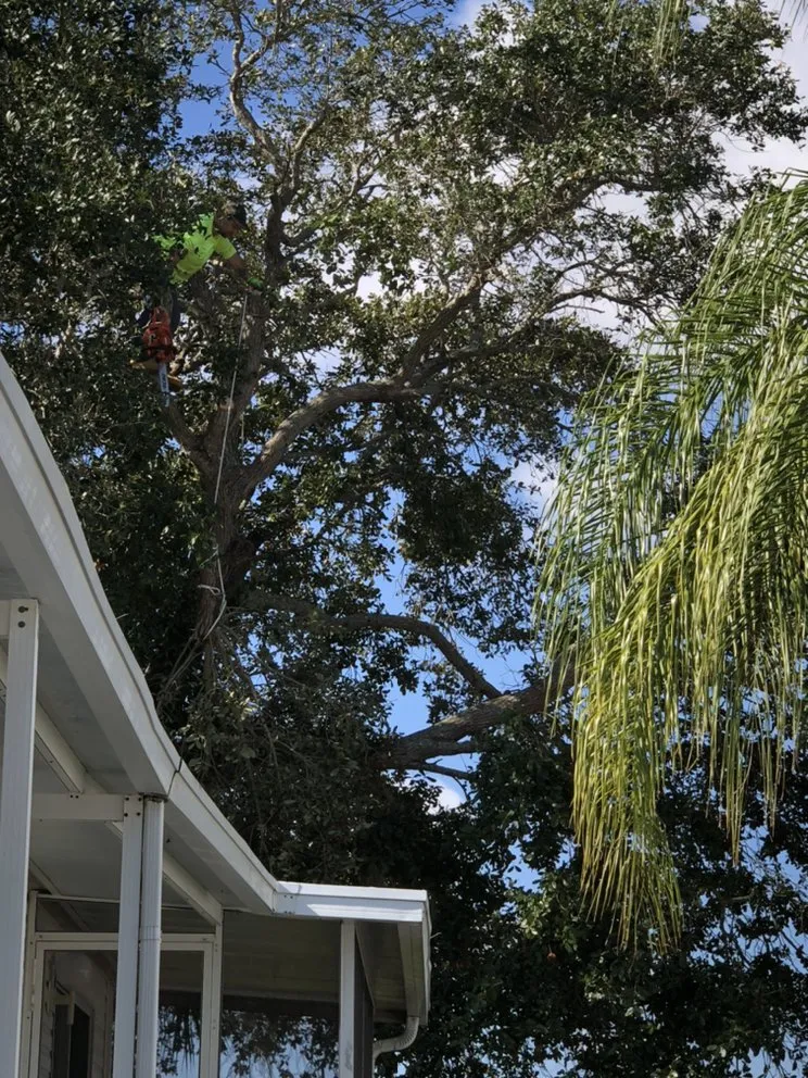 Trusted yard maintenance in Melbourne, FL by MTS Mowing and Tree Service