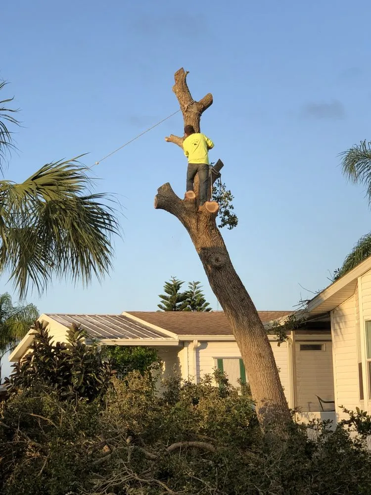 Trusted landscape installation in Melbourne, FL - MTS Mowing and Tree Service
