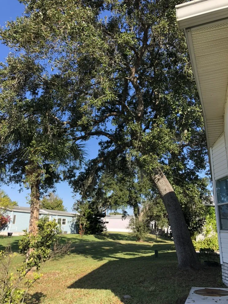 Custom garden landscaping in Melbourne, FL by MTS Mowing and Tree Service