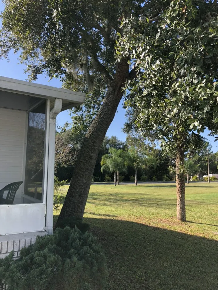Affordable residential landscaping in Melbourne, FL - MTS Mowing and Tree Service