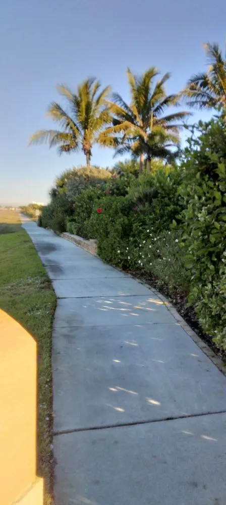 Top-rated landscaping services for year-round maintenance in Melbourne, FL by MTS Mowing and Tree Service