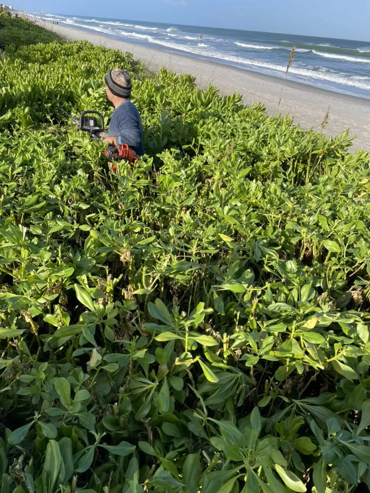 Trusted outdoor landscaping in Melbourne, FL - MTS Mowing and Tree Service