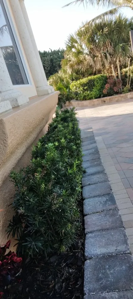 Trusted yard maintenance for year-round maintenance in Melbourne, FL by MTS Mowing and Tree Service