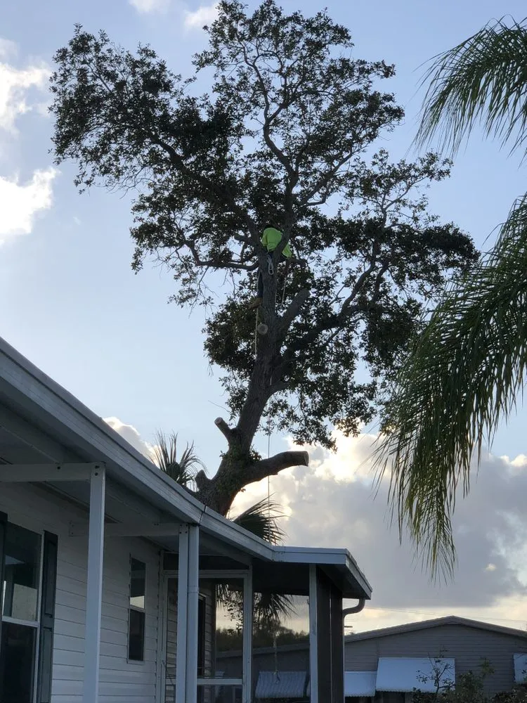 Local lawn mowing service for homes in Melbourne, FL by MTS Mowing and Tree Service