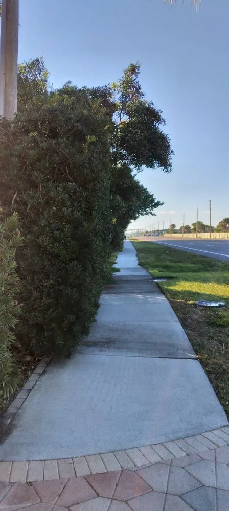 Expert lawn mowing service experts serving Melbourne, FL - MTS Mowing and Tree Service