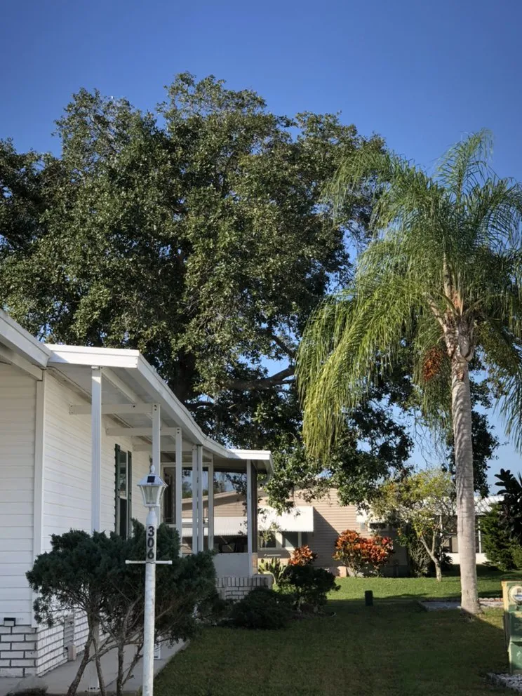 Reliable garden landscaping experts serving Melbourne, FL - MTS Mowing and Tree Service