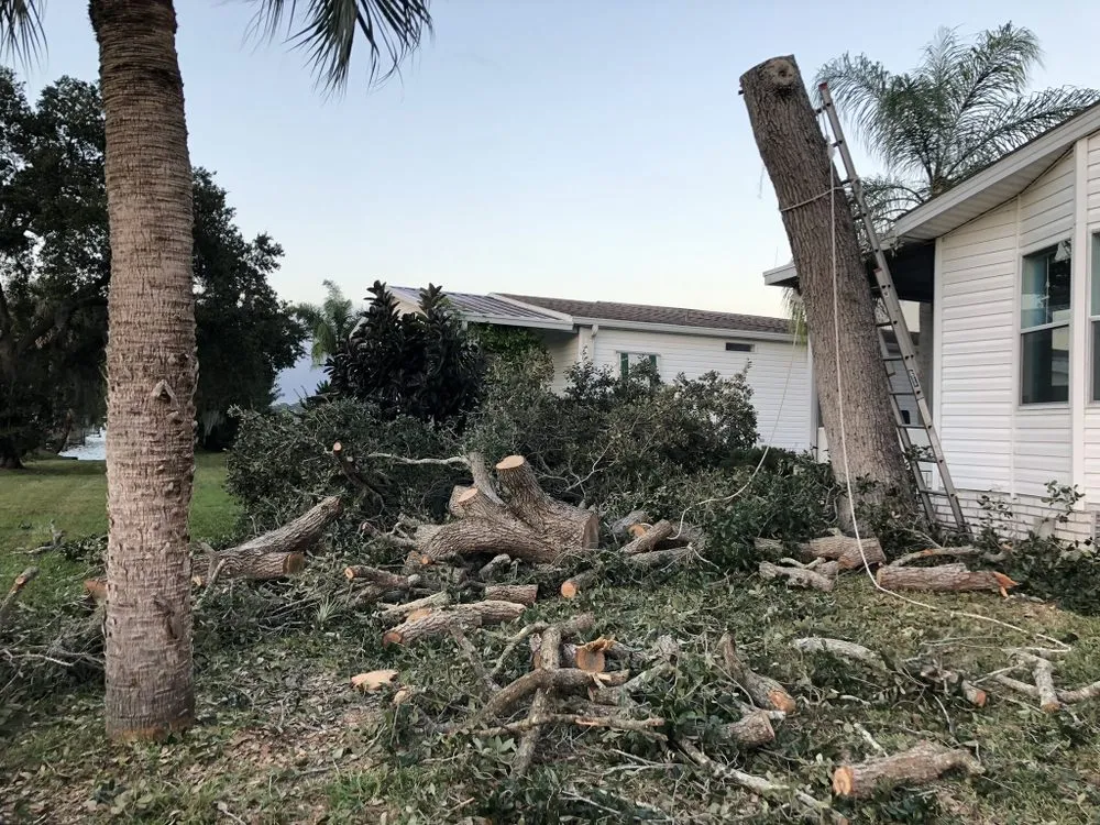 Expert landscaping services in Melbourne, FL by MTS Mowing and Tree Service