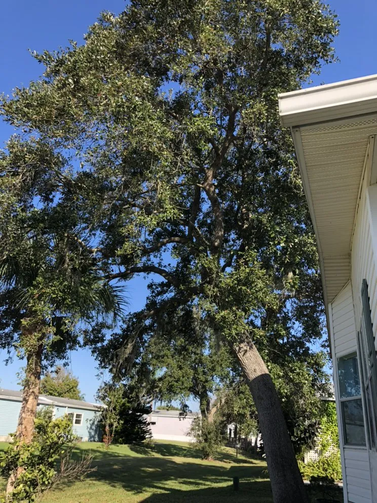 Professional landscape design for year-round maintenance in Melbourne, FL by MTS Mowing and Tree Service