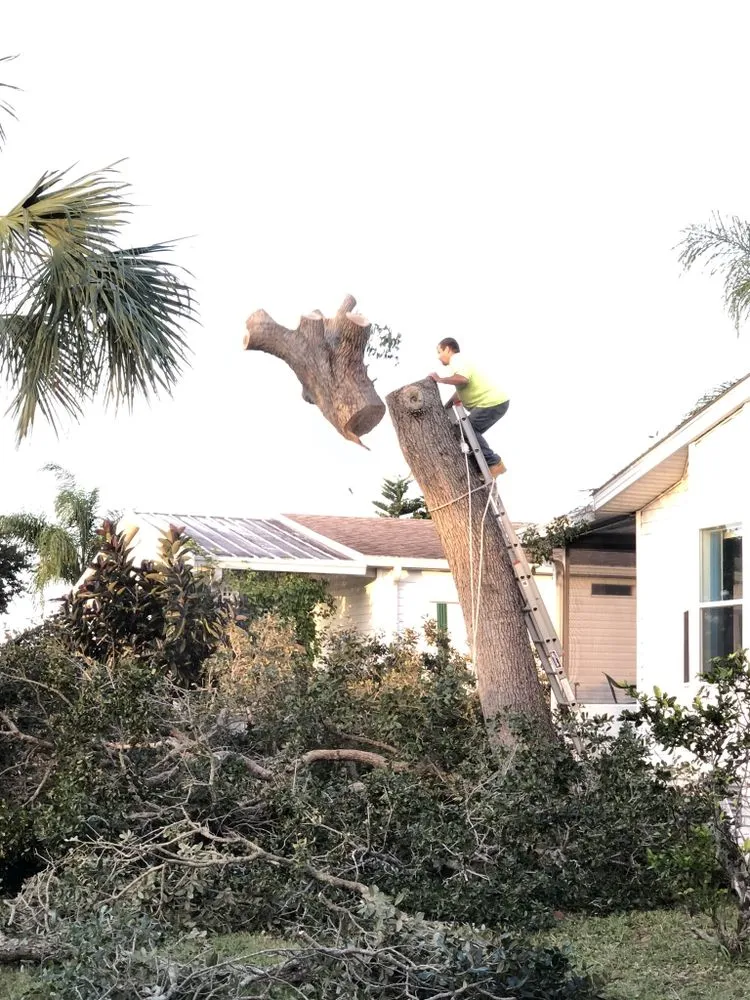 Trusted garden landscaping in Melbourne, FL by MTS Mowing and Tree Service