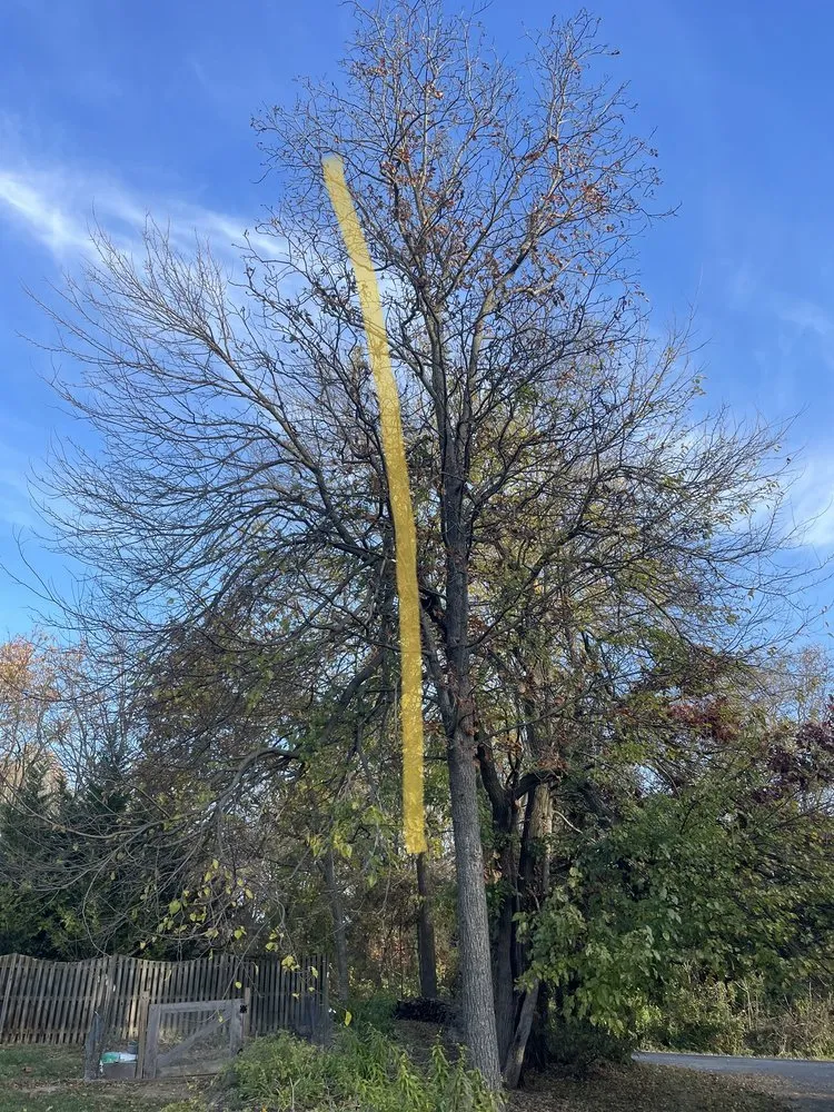 Affordable garden landscaping with custom design across Leesburg, VA - MTS-Pro Tree Service & Landscaping