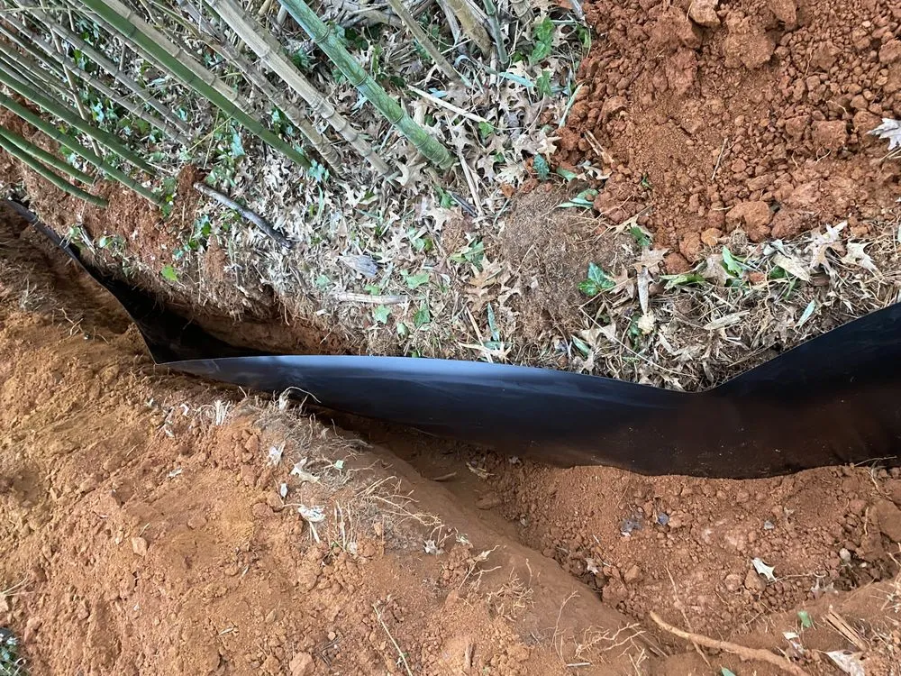 Expert lawn care service for year-round maintenance across Leesburg, VA - MTS-Pro Tree Service & Landscaping