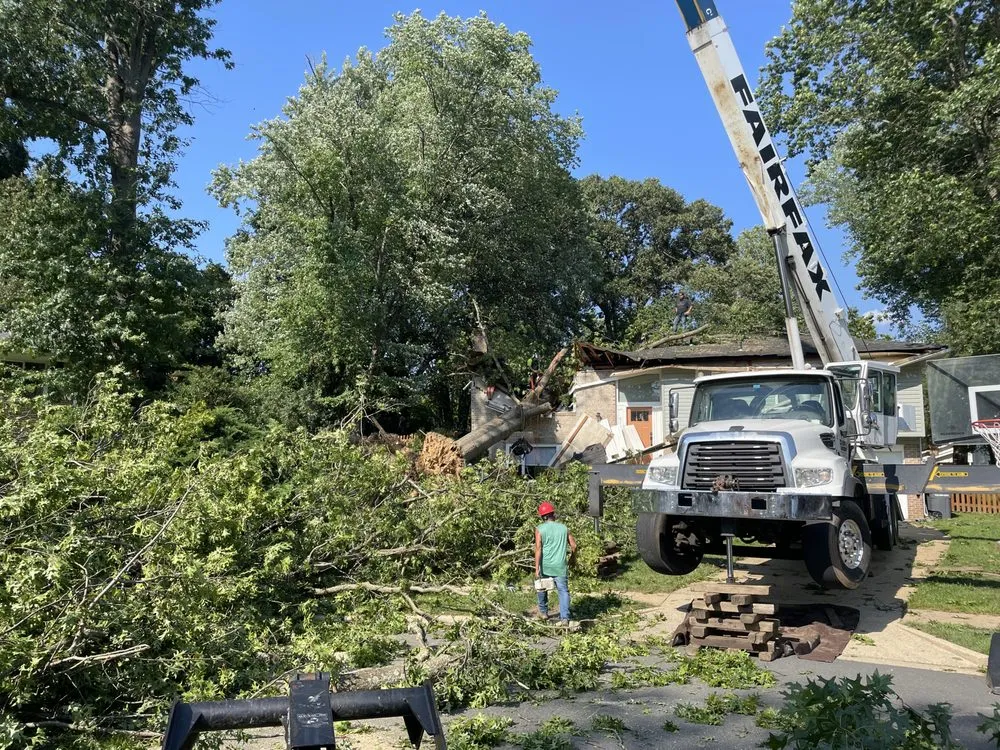 Trusted landscape installation for year-round maintenance across Leesburg, VA - MTS-Pro Tree Service & Landscaping