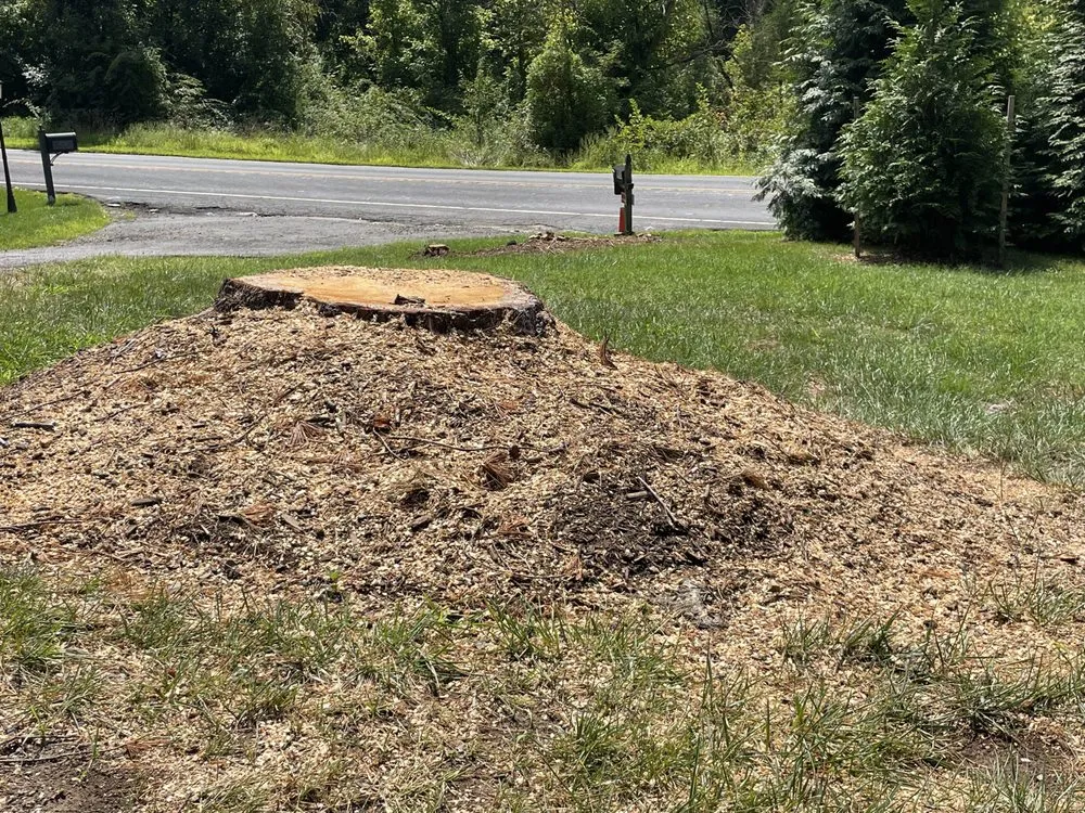 Local yard cleanup service in Leesburg, VA by MTS-Pro Tree Service & Landscaping