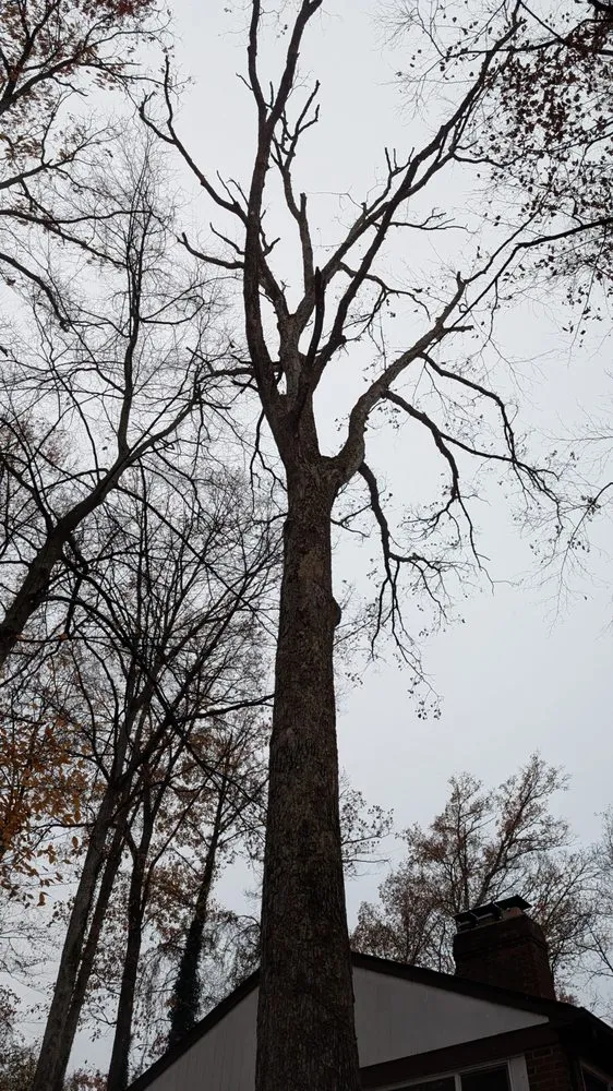 Professional residential landscaping for homes in Leesburg, VA by MTS-Pro Tree Service & Landscaping