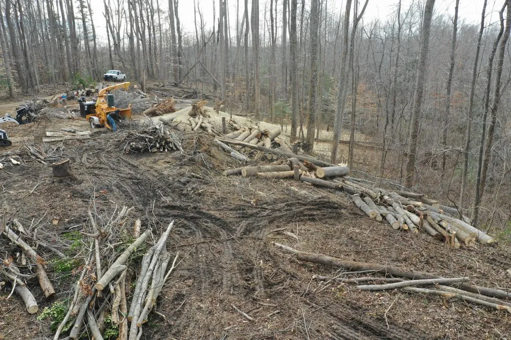 Custom lawn care service in Leesburg, VA - MTS-Pro Tree Service & Landscaping