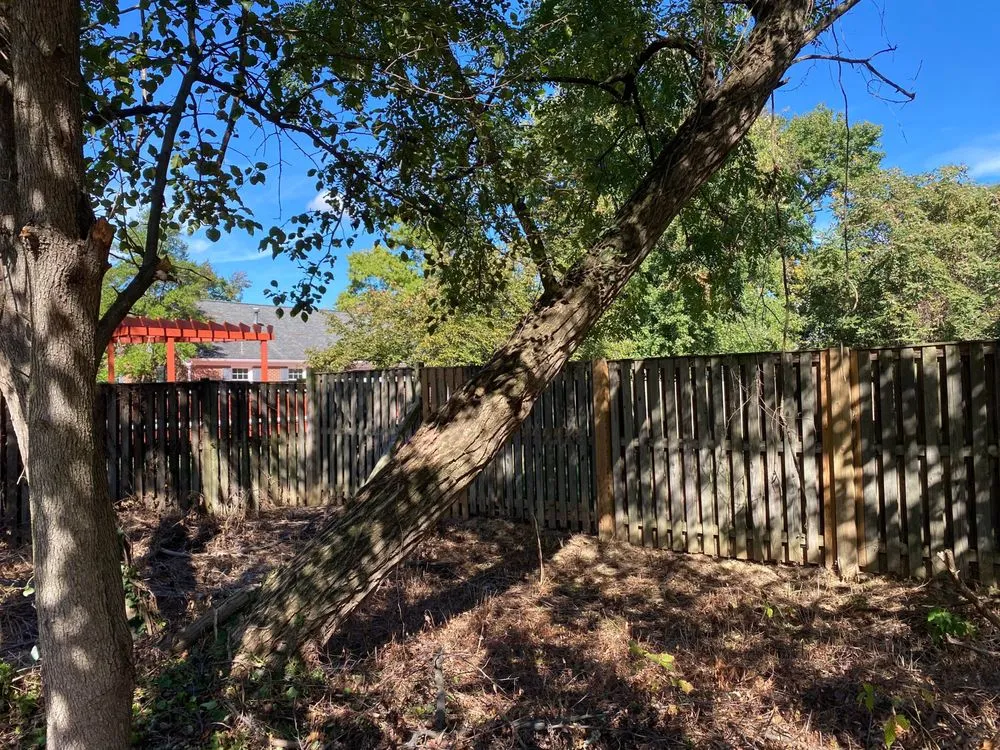 Expert lawn mowing service with custom design across Leesburg, VA - MTS-Pro Tree Service & Landscaping