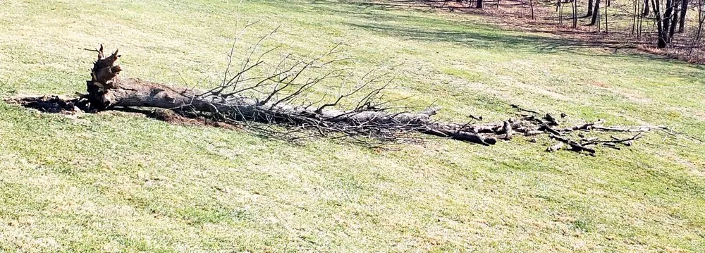 Reliable landscape design experts serving Leesburg, VA - MTS-Pro Tree Service & Landscaping