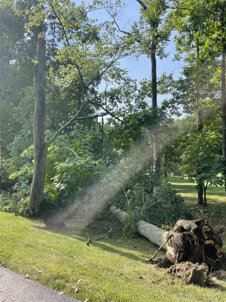 Professional landscape installation in Leesburg, VA - MTS-Pro Tree Service & Landscaping